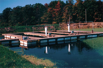 In-Pond RAS / In-Pond Fish Raceway